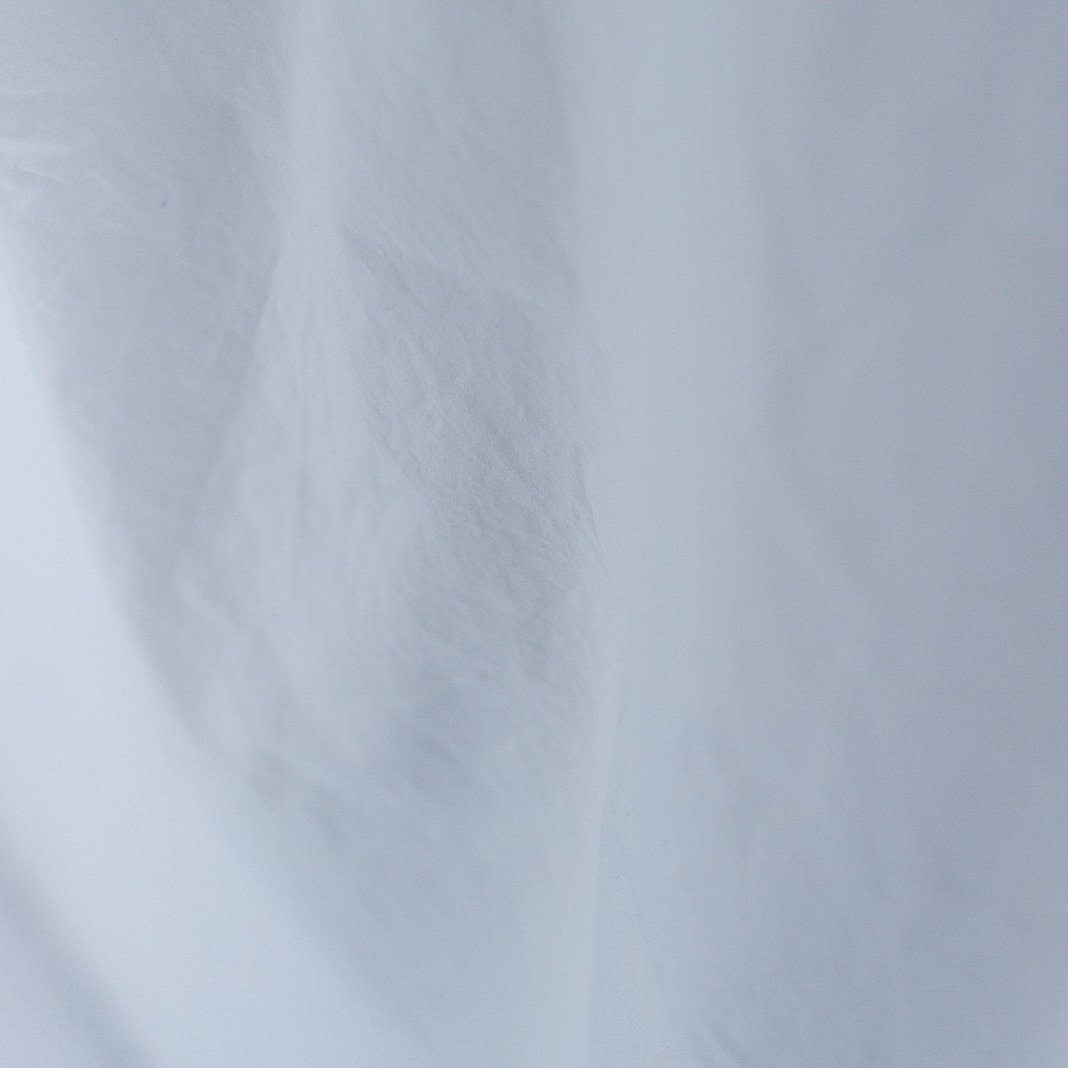 40/1<br> Atelier shirts relax<br> regular collar<br> No.1921