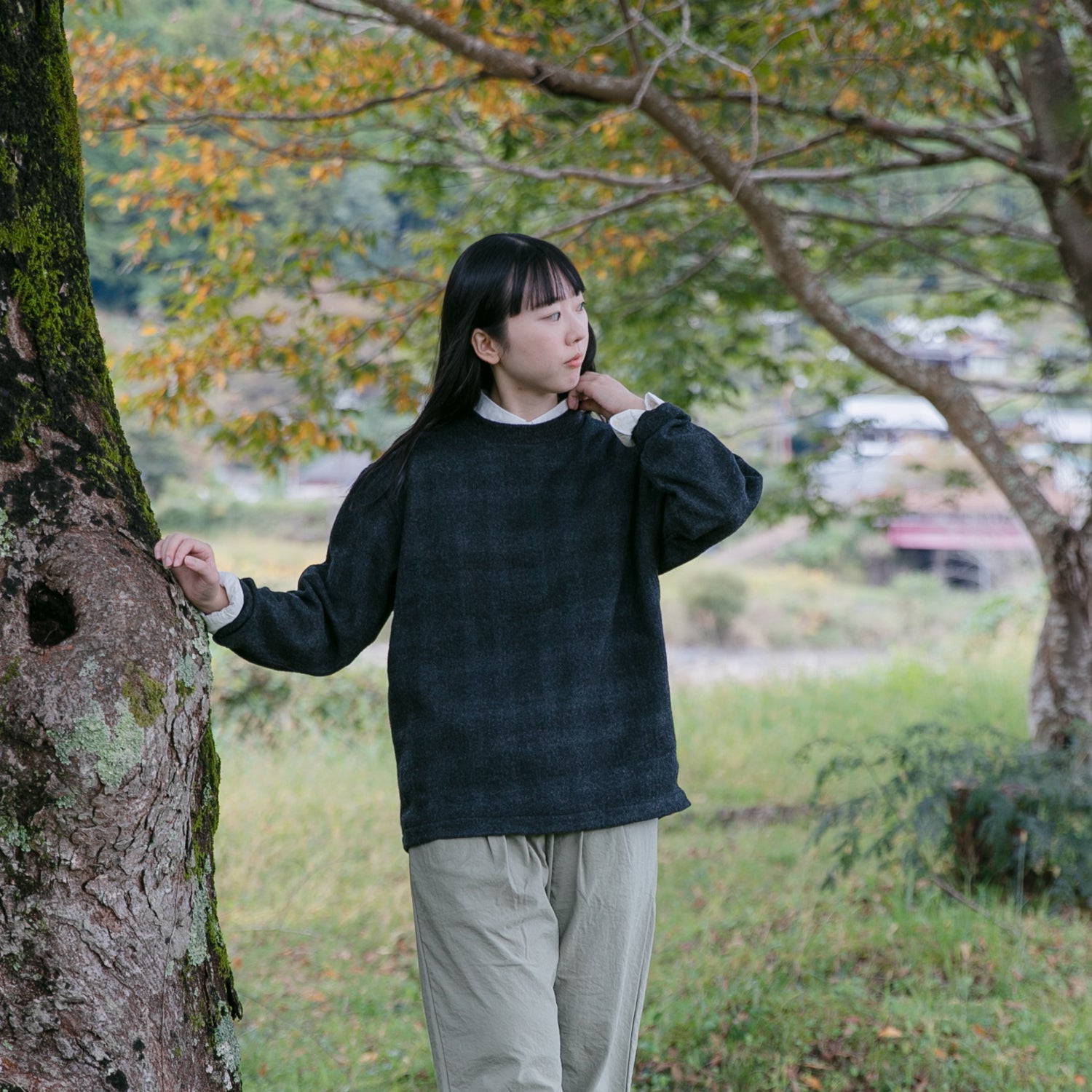 Crew neck pullover<br>No.2535