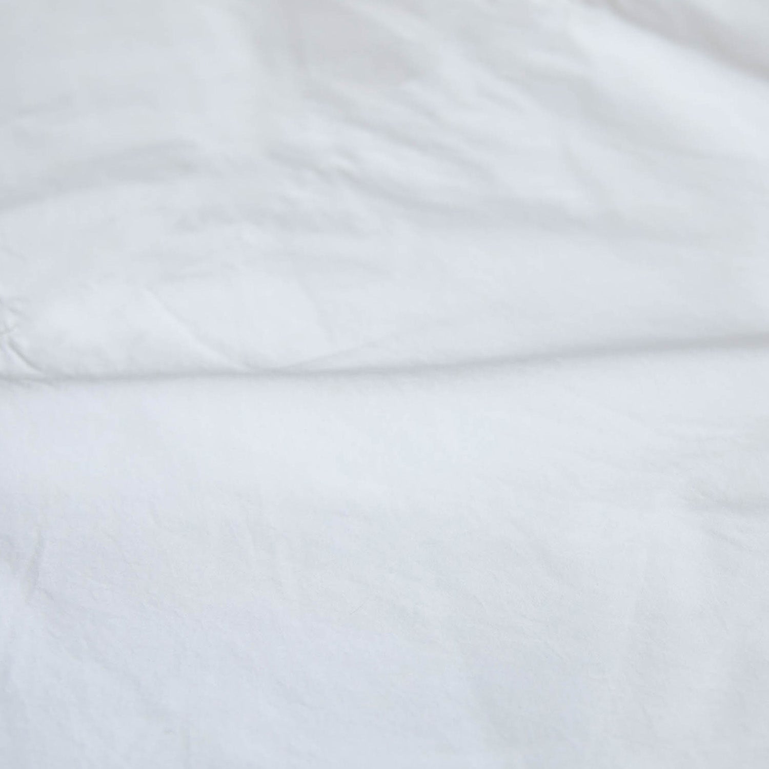 80/1<br> Nerd shirts<br> regular collar<br> No.2503